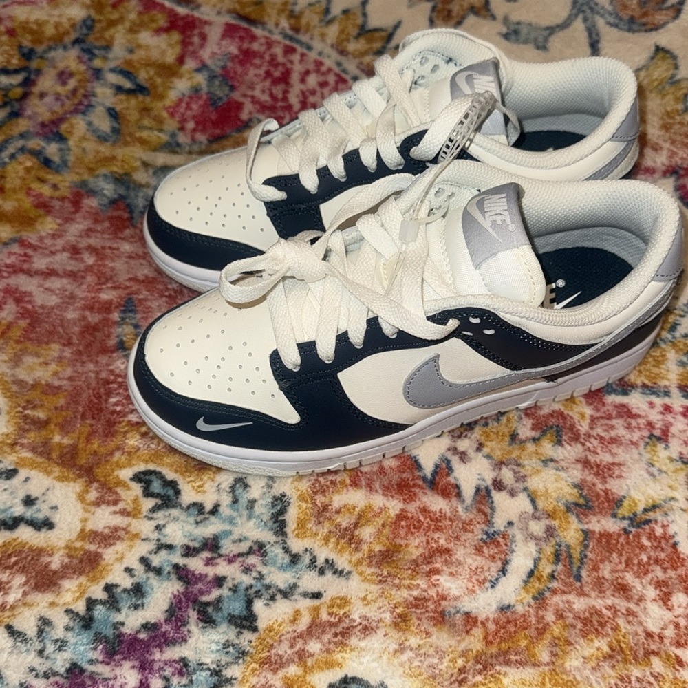 Nike women’s low top dunks brand new without box
